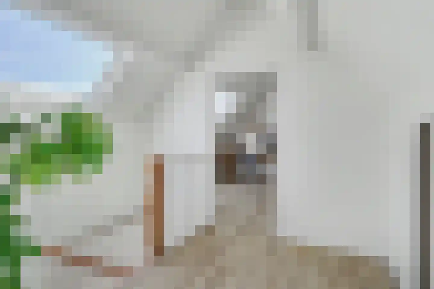 Sint Janskruid 3 Helvoirt thumbnail 40
