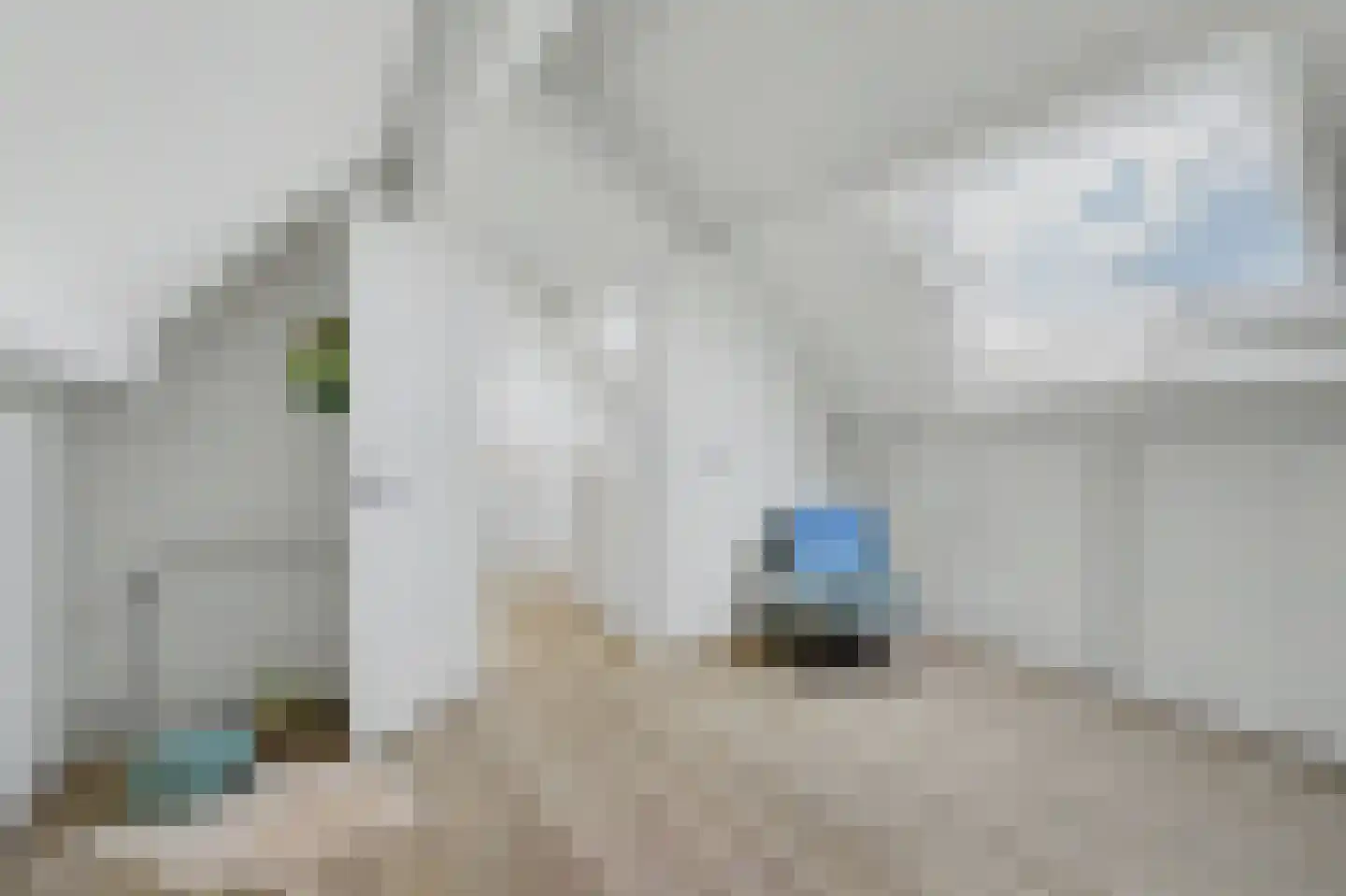 Sint Janskruid 3 Helvoirt thumbnail 42
