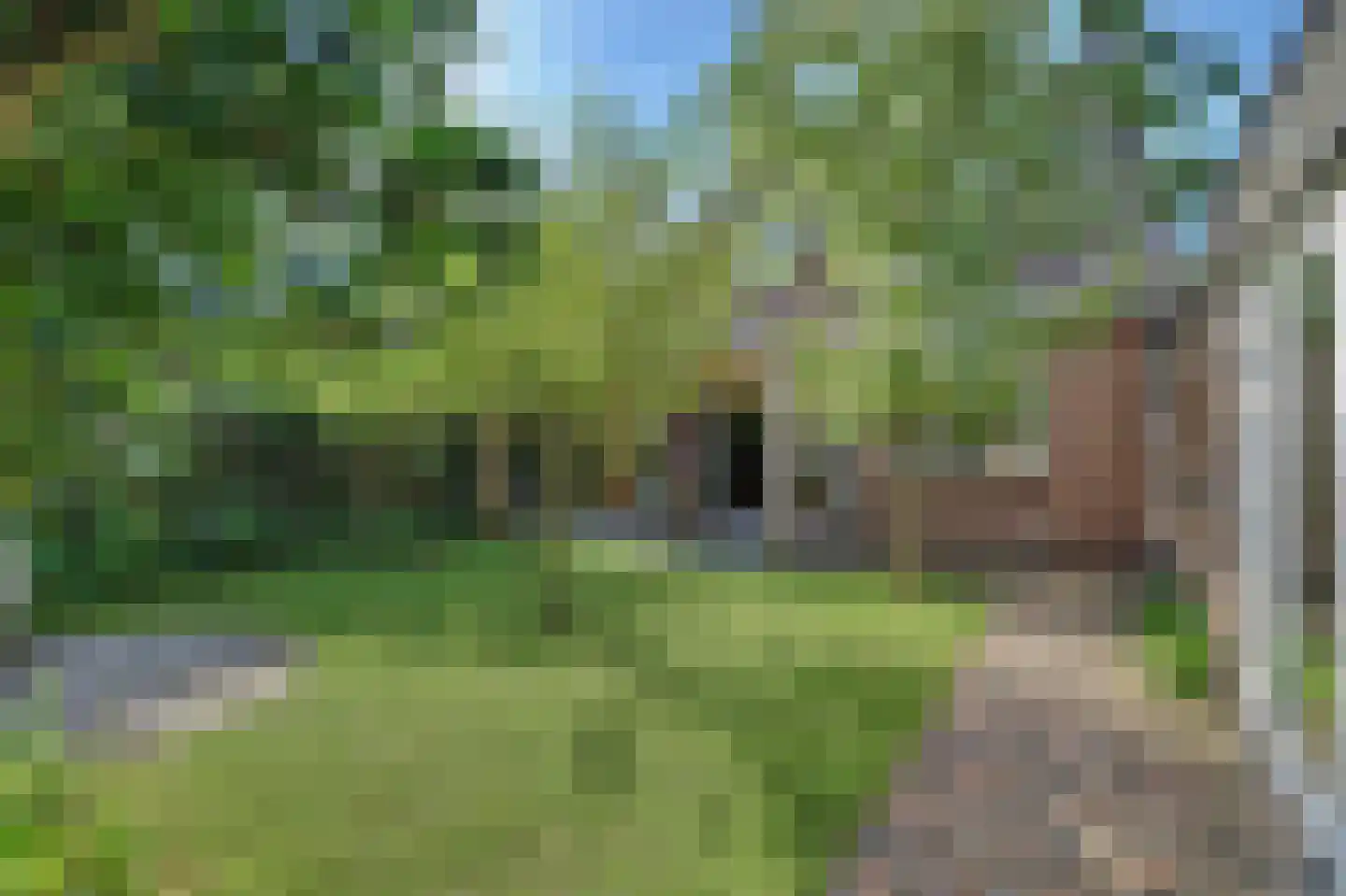 Sint Janskruid 3 Helvoirt thumbnail 45