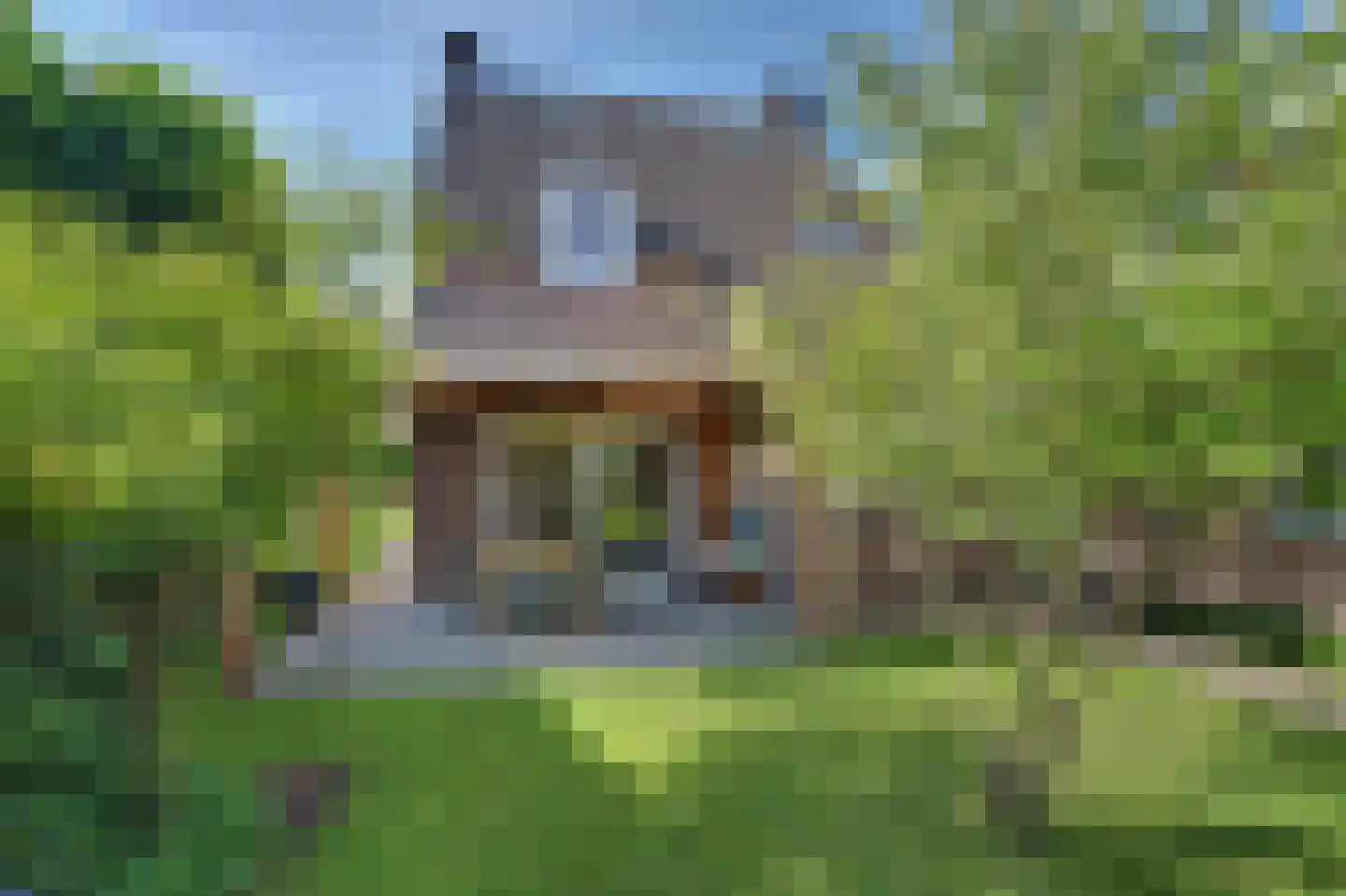 Sint Janskruid 3 Helvoirt thumbnail 46