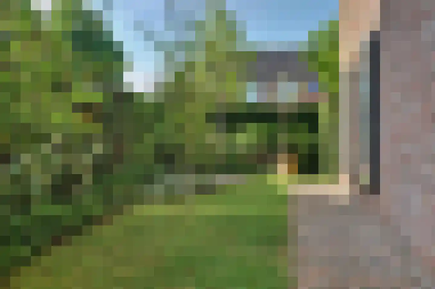 Sint Janskruid 3 Helvoirt thumbnail 49