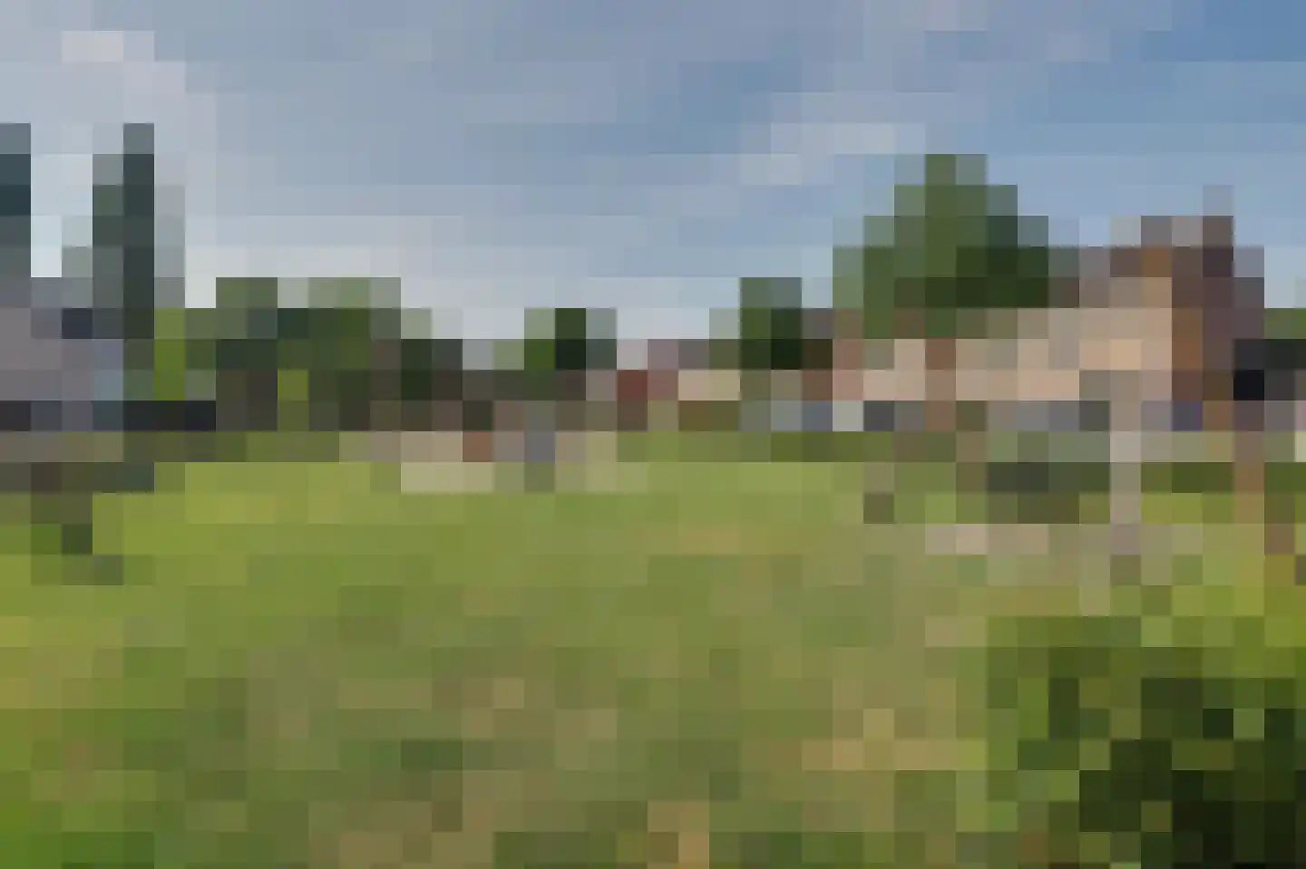 Sint Janskruid 3 Helvoirt thumbnail 56