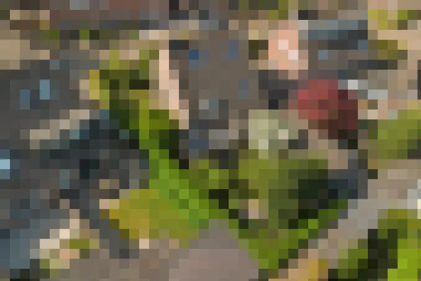 Sint Janskruid 3 Helvoirt thumbnail 57