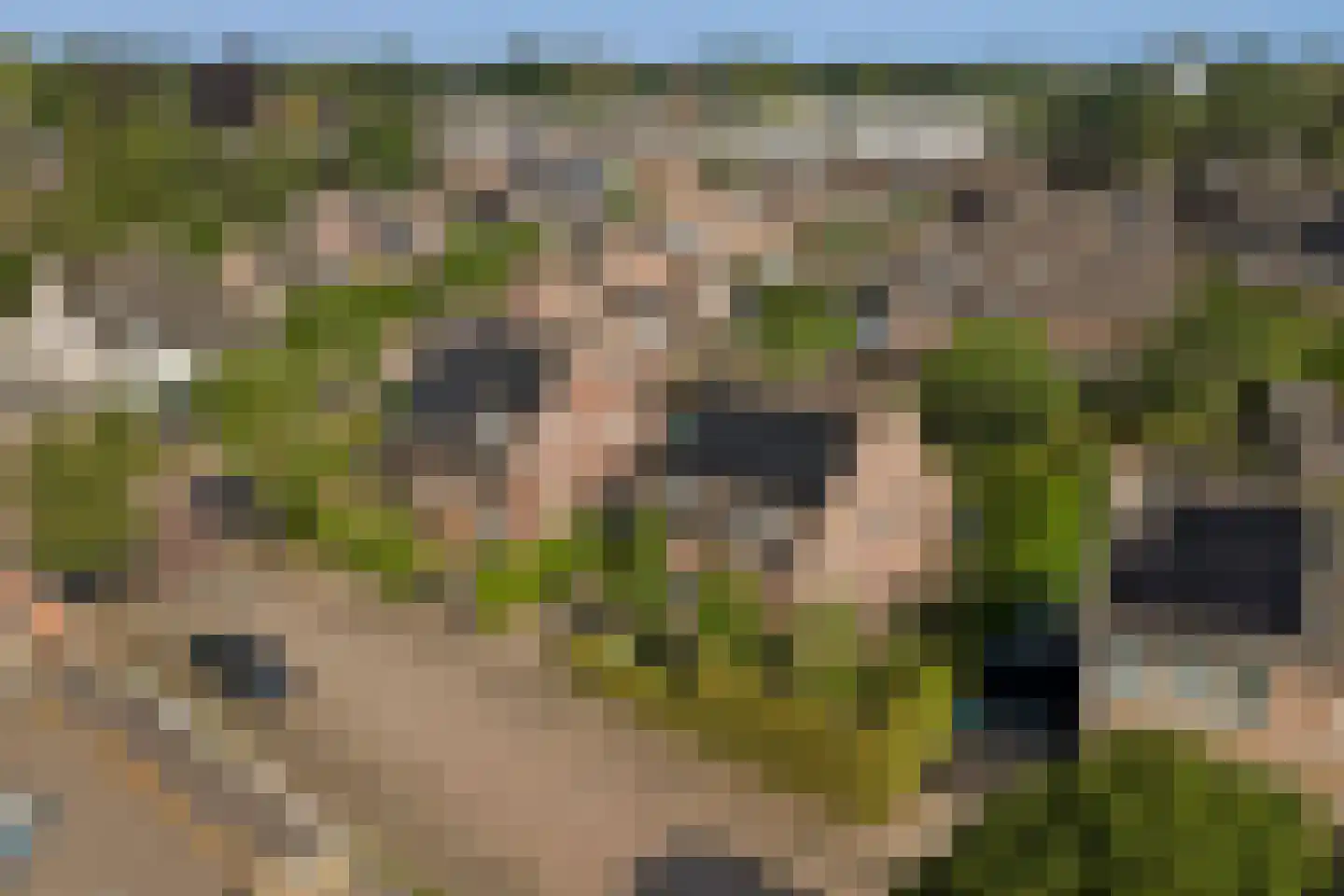 Sint Janskruid 3 Helvoirt thumbnail 58