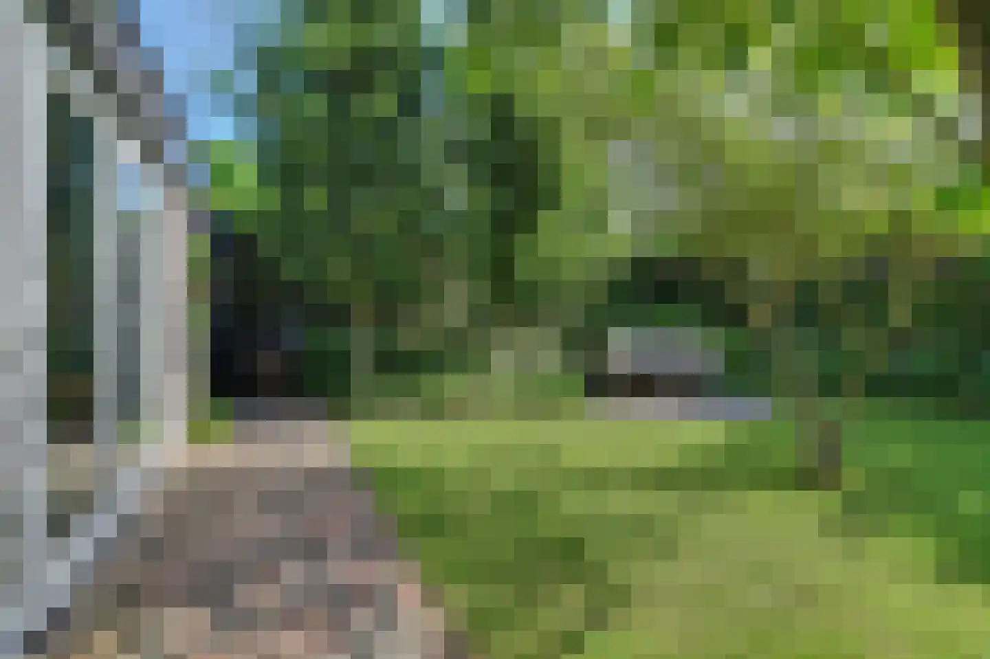 Sint Janskruid 3 Helvoirt thumbnail 6