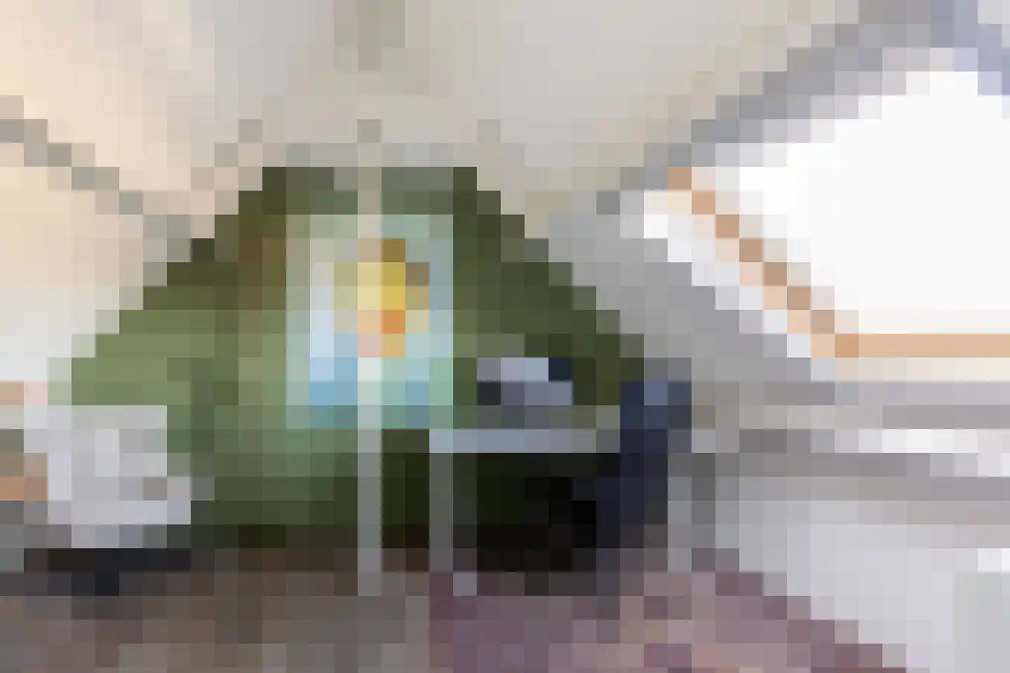 Sint Janskruid 5 Helvoirt thumbnail 24
