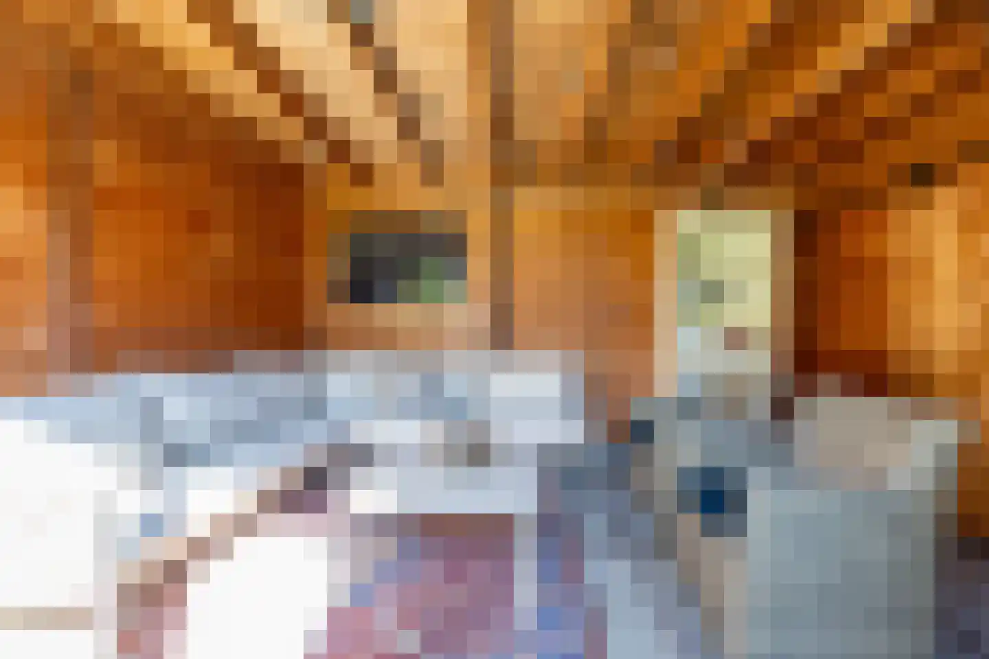 Sint Janskruid 5 Helvoirt thumbnail 28