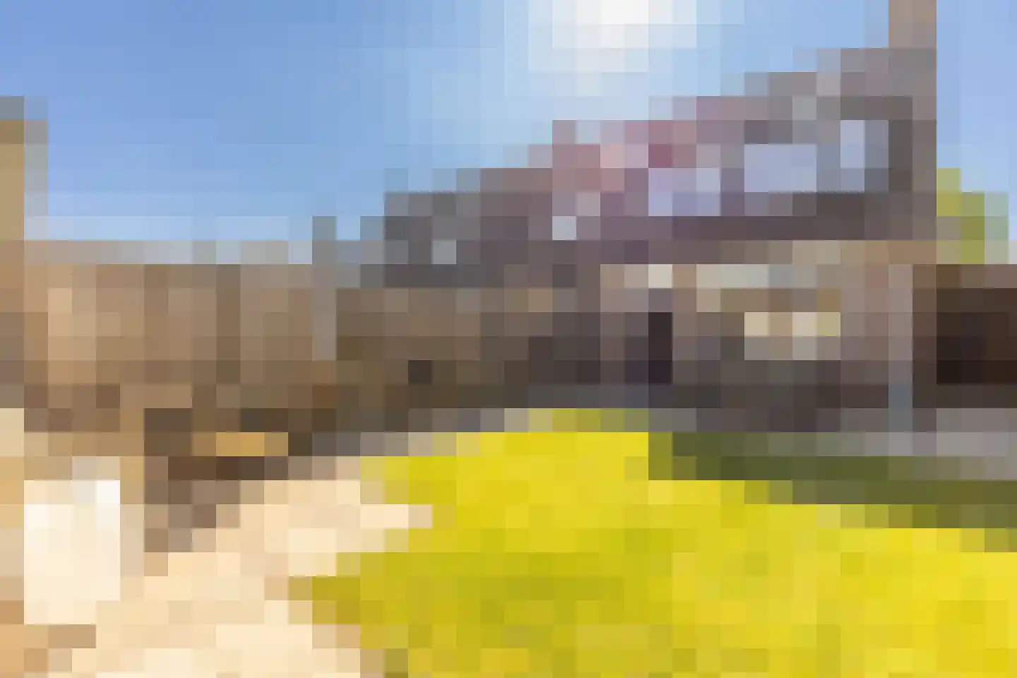 Sint Janskruid 5 Helvoirt thumbnail 29