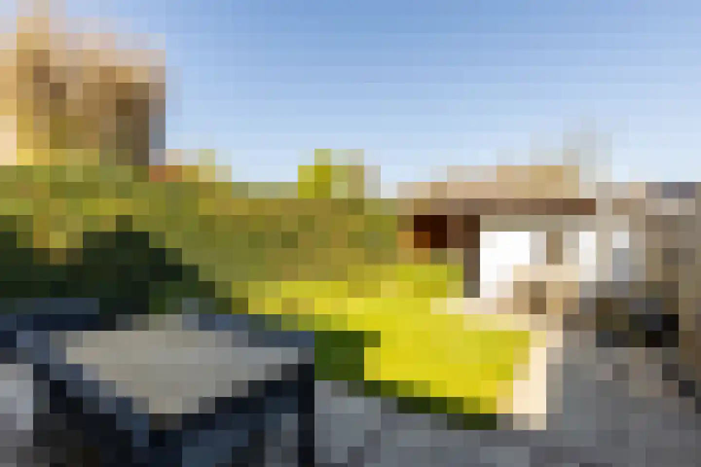 Sint Janskruid 5 Helvoirt thumbnail 31