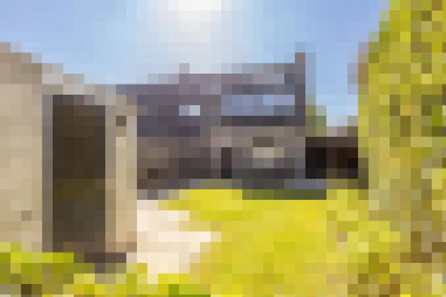 Sint Janskruid 5 Helvoirt thumbnail 33