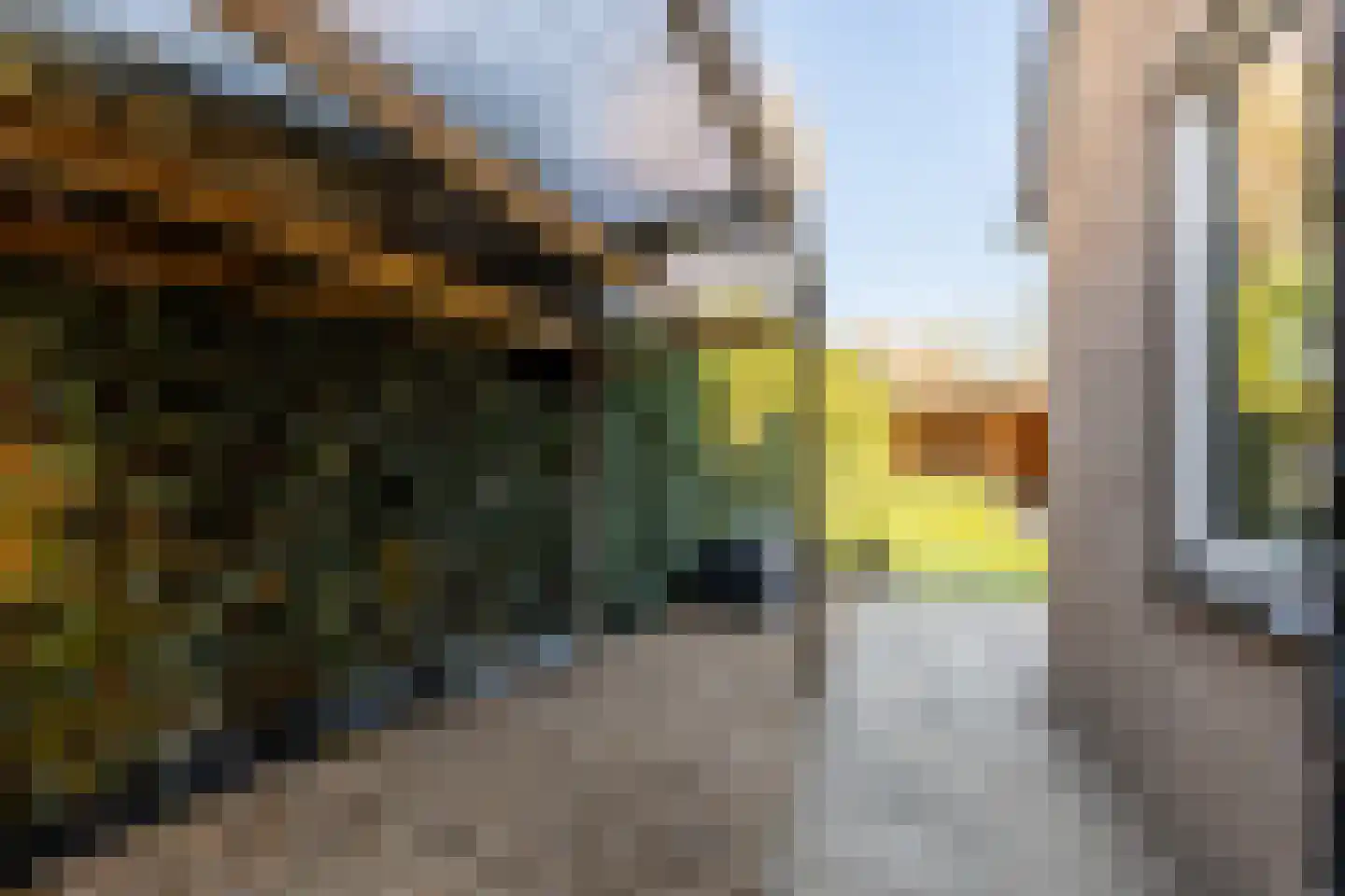 Sint Janskruid 5 Helvoirt thumbnail 34