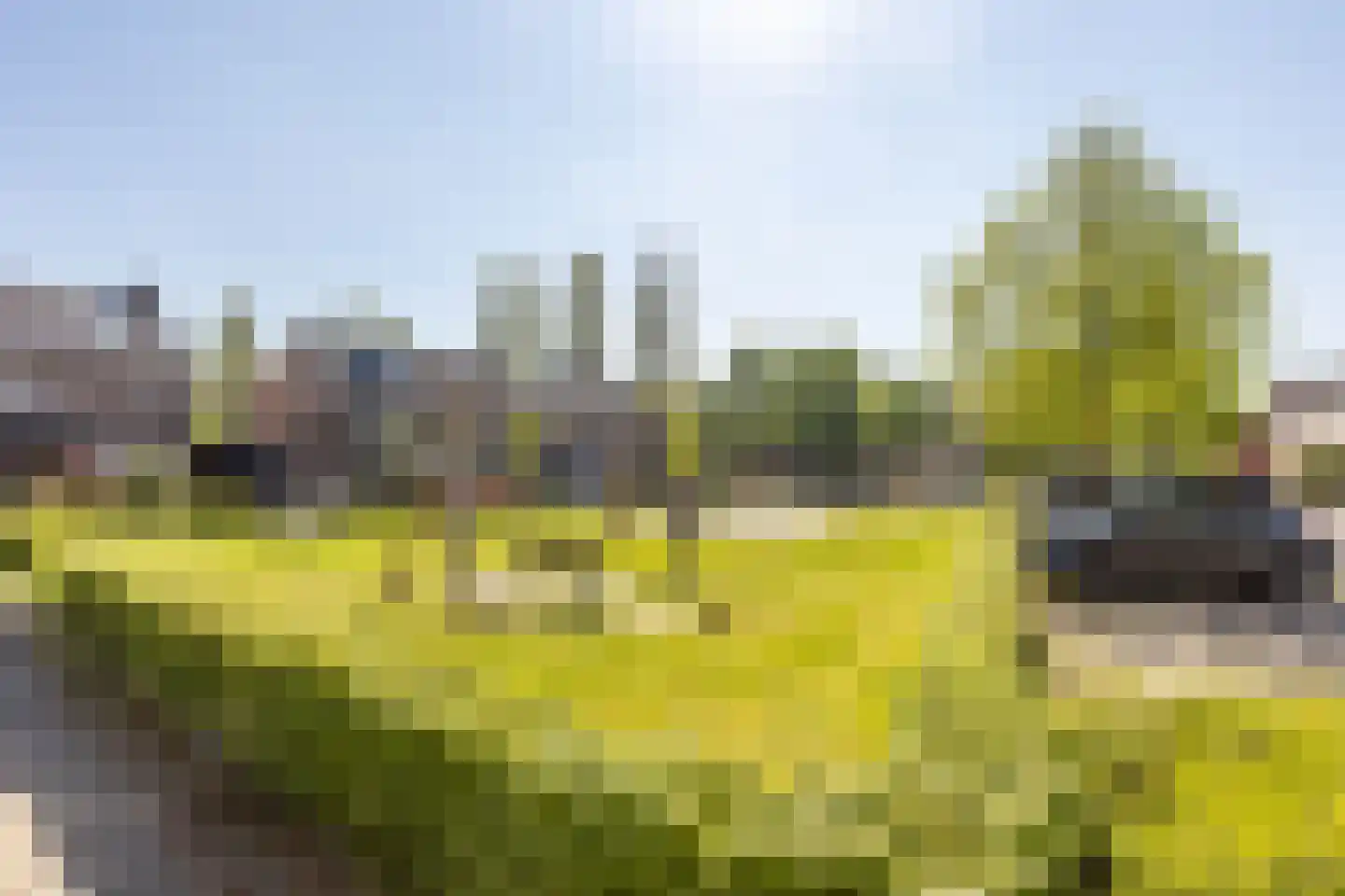Sint Janskruid 5 Helvoirt thumbnail 40