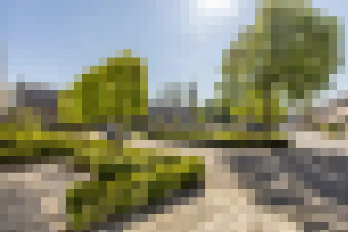 Sint Janskruid 5 Helvoirt thumbnail 41