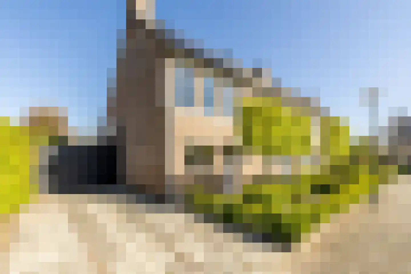 Sint Janskruid 5 Helvoirt thumbnail 42