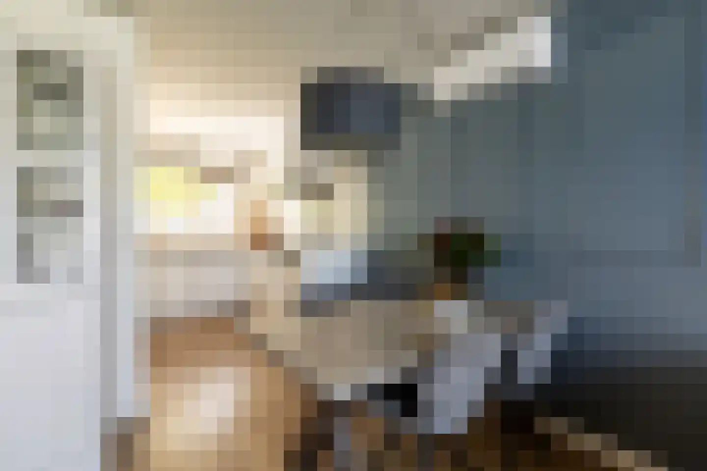 Sint Janskruid 5 Helvoirt thumbnail 8