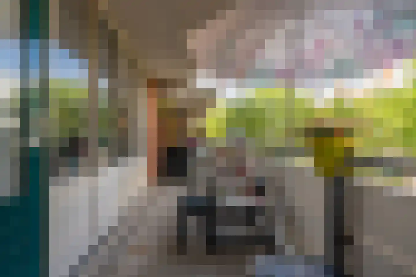 Sint Janskruid 50 Diemen thumbnail 13