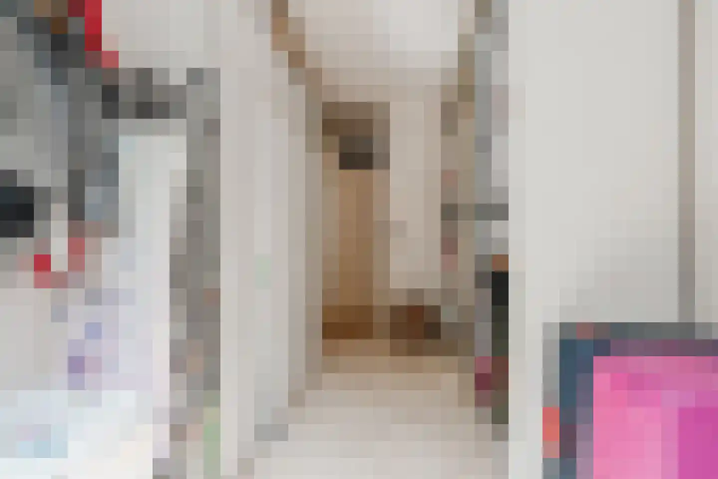 Sint Janskruid 50 Diemen thumbnail 30