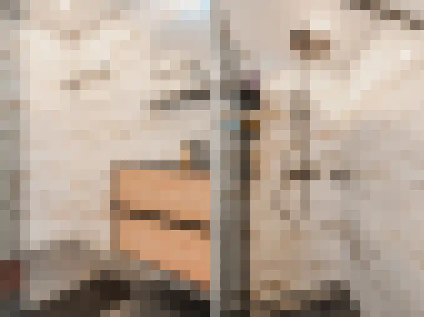 Sint Janskruid 50 Diemen thumbnail 32