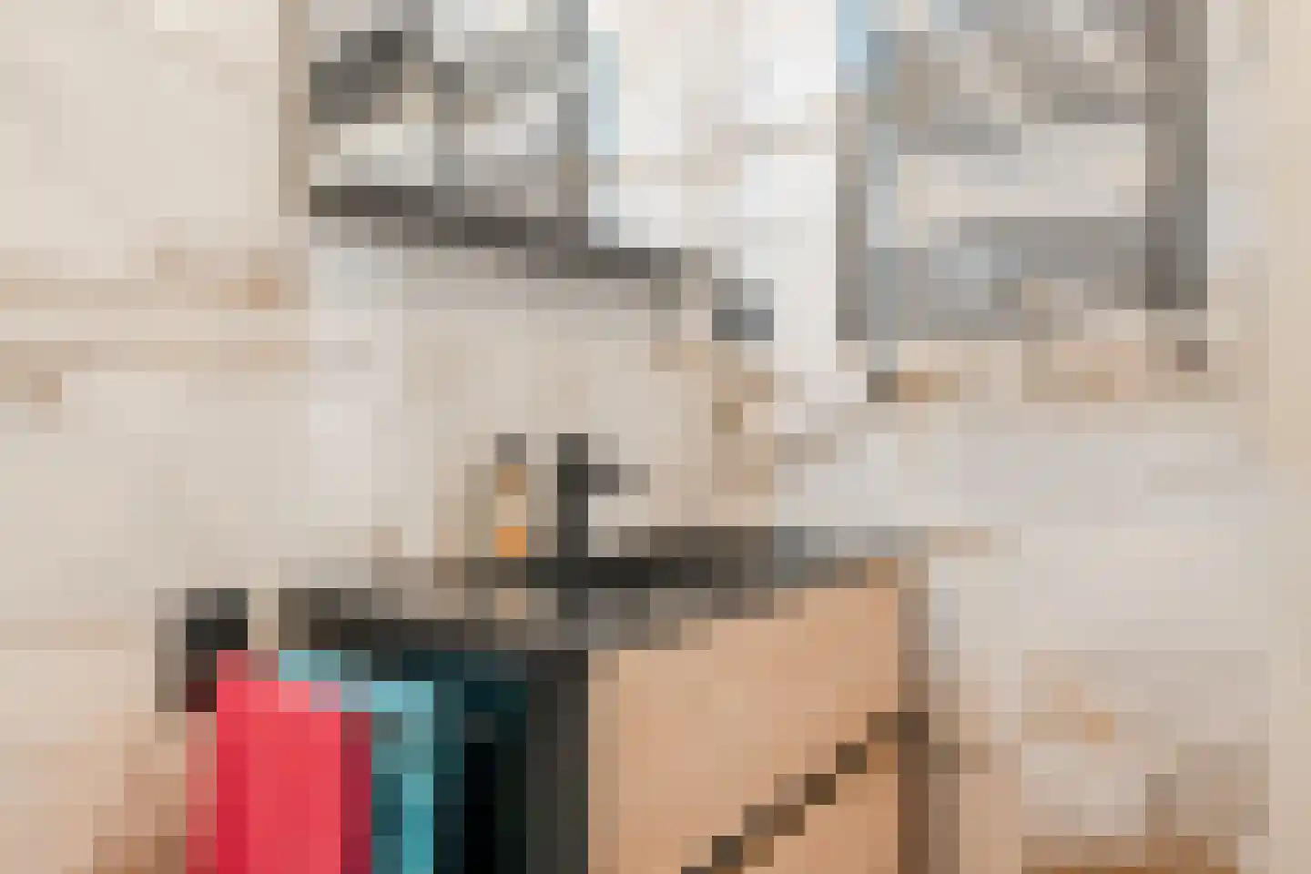 Sint Janskruid 50 Diemen thumbnail 33