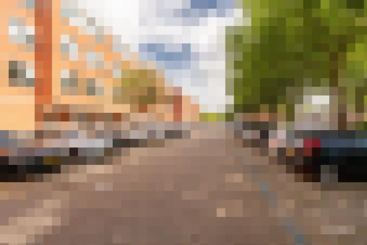 Sint Janskruid 50 Diemen thumbnail 36
