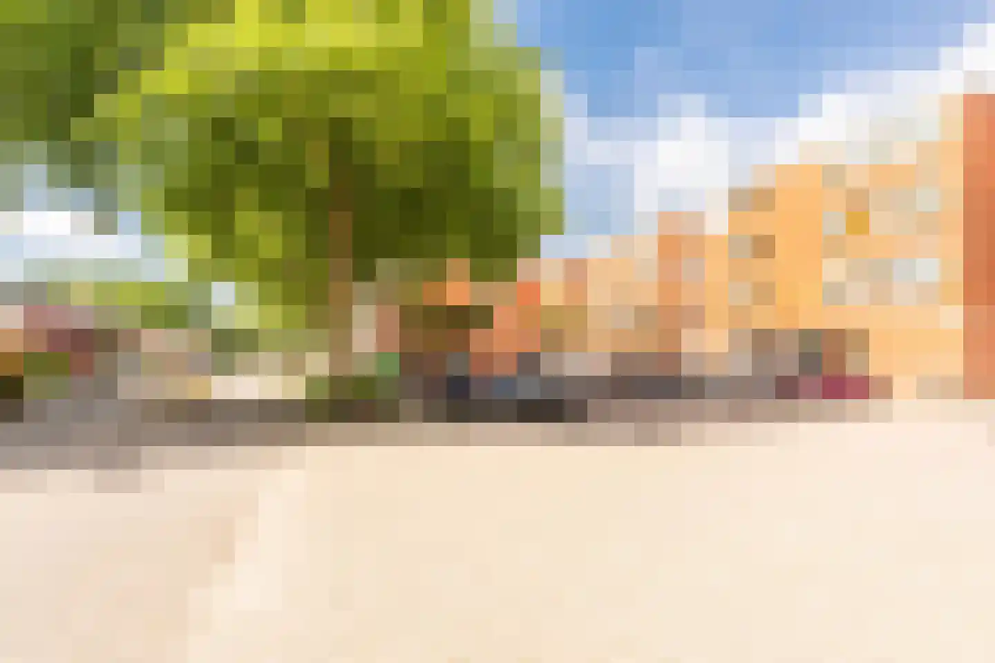 Sint Janskruid 50 Diemen thumbnail 37
