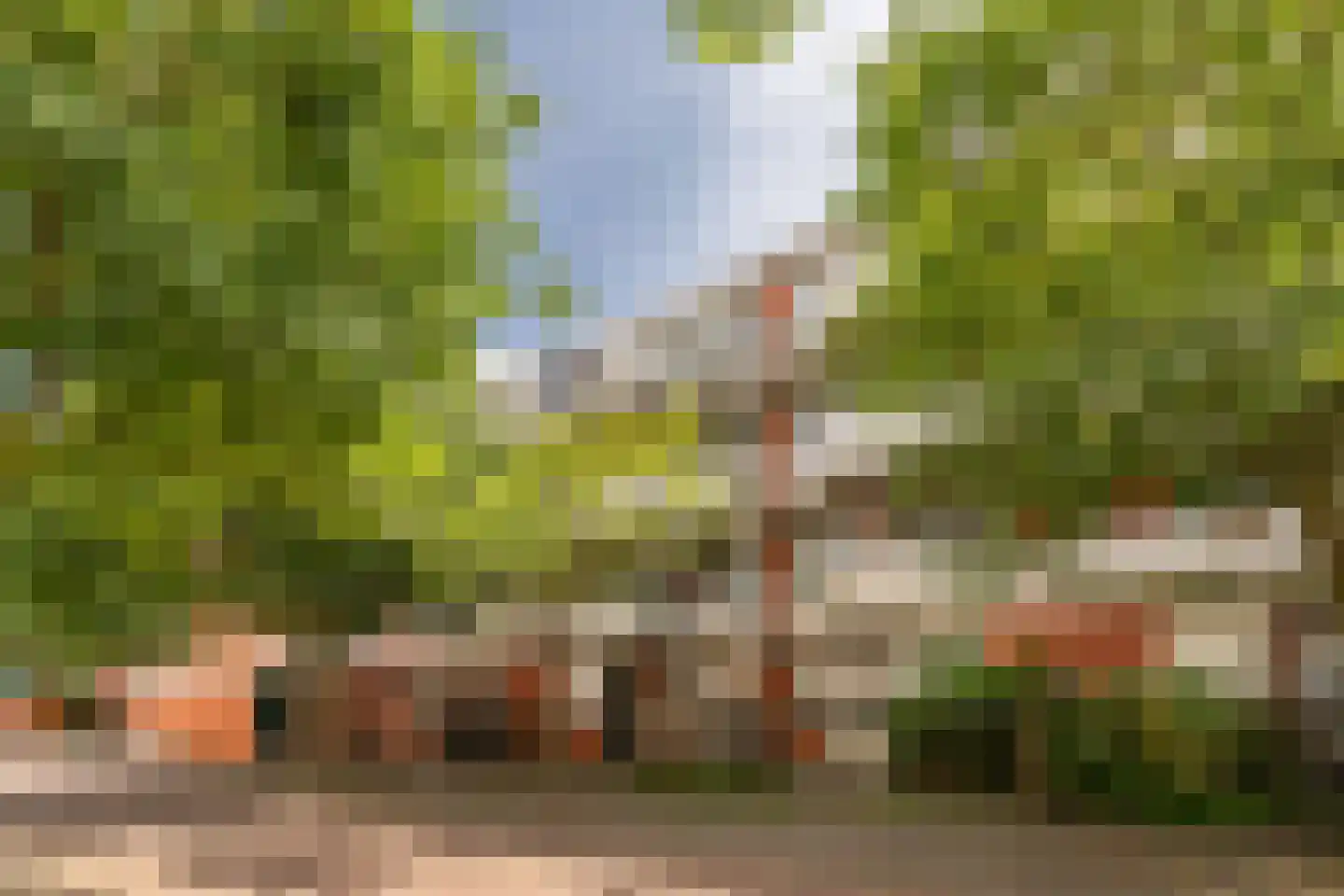 Sint Janskruid 50 Diemen thumbnail 38