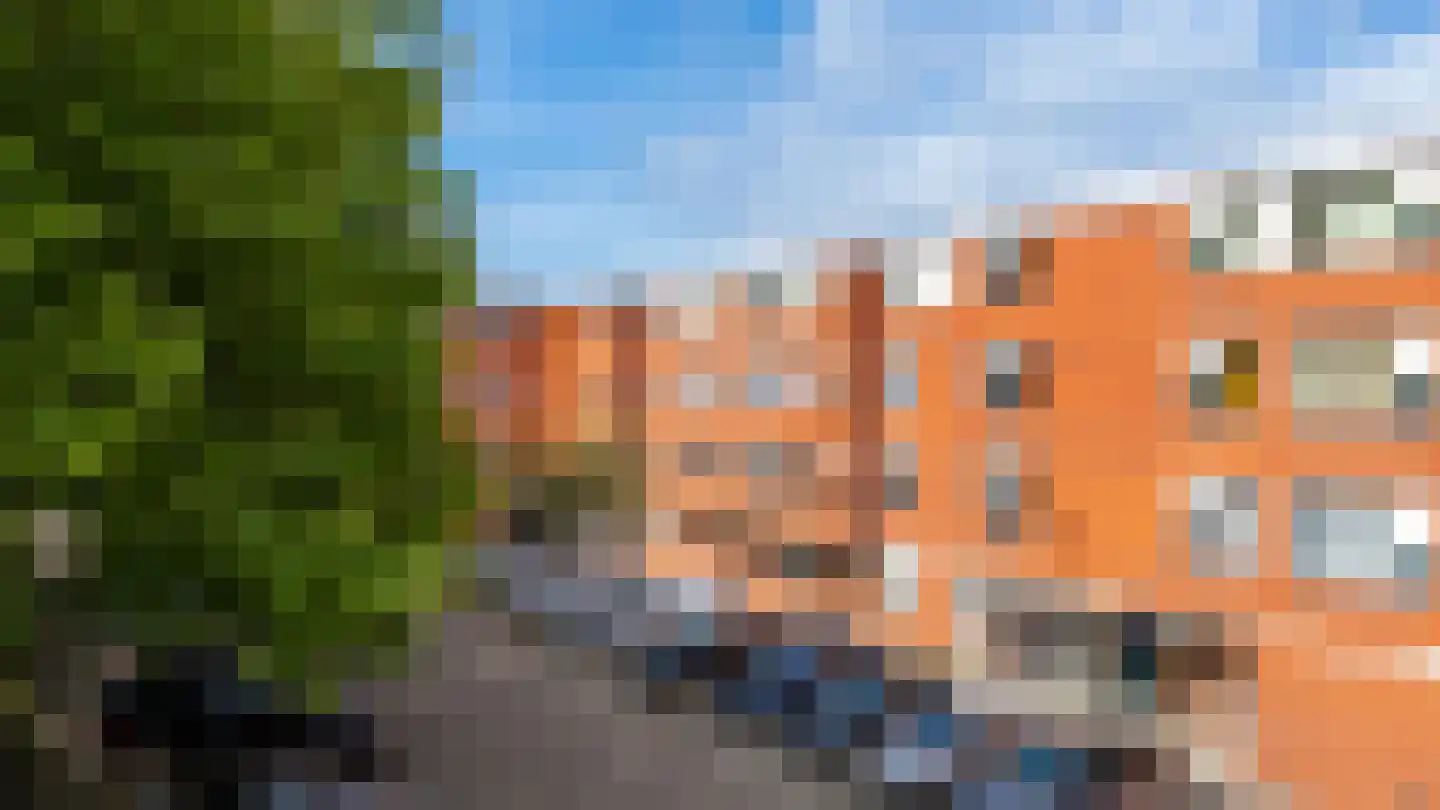 Sint Janskruid 50 Diemen thumbnail 39