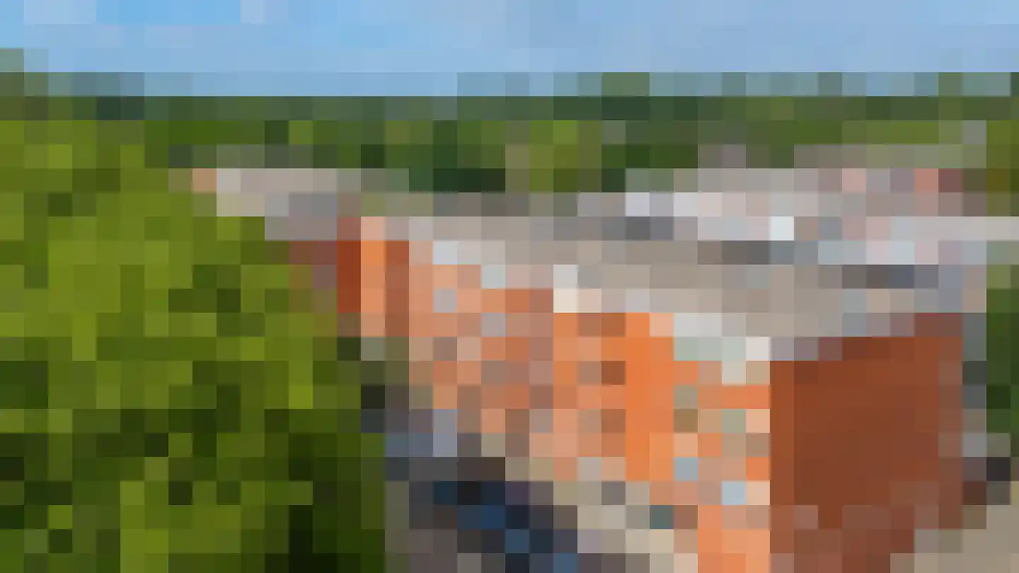 Sint Janskruid 50 Diemen thumbnail 40