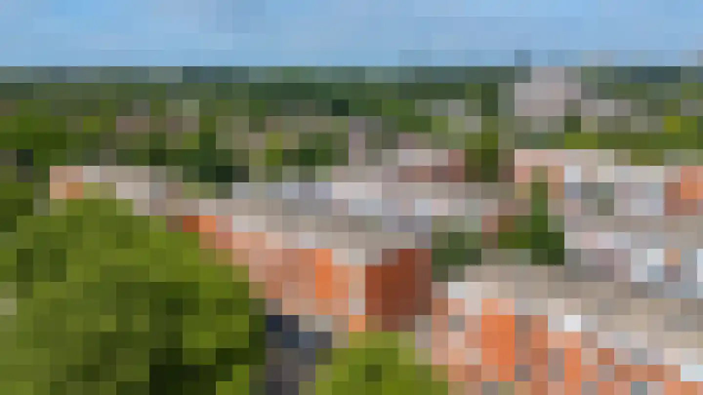 Sint Janskruid 50 Diemen thumbnail 41