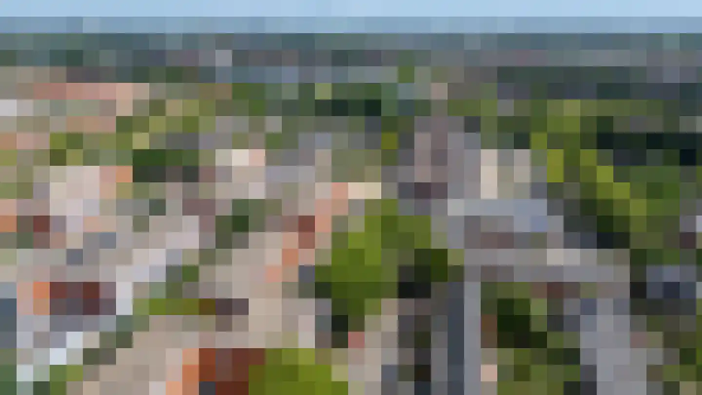 Sint Janskruid 50 Diemen thumbnail 43
