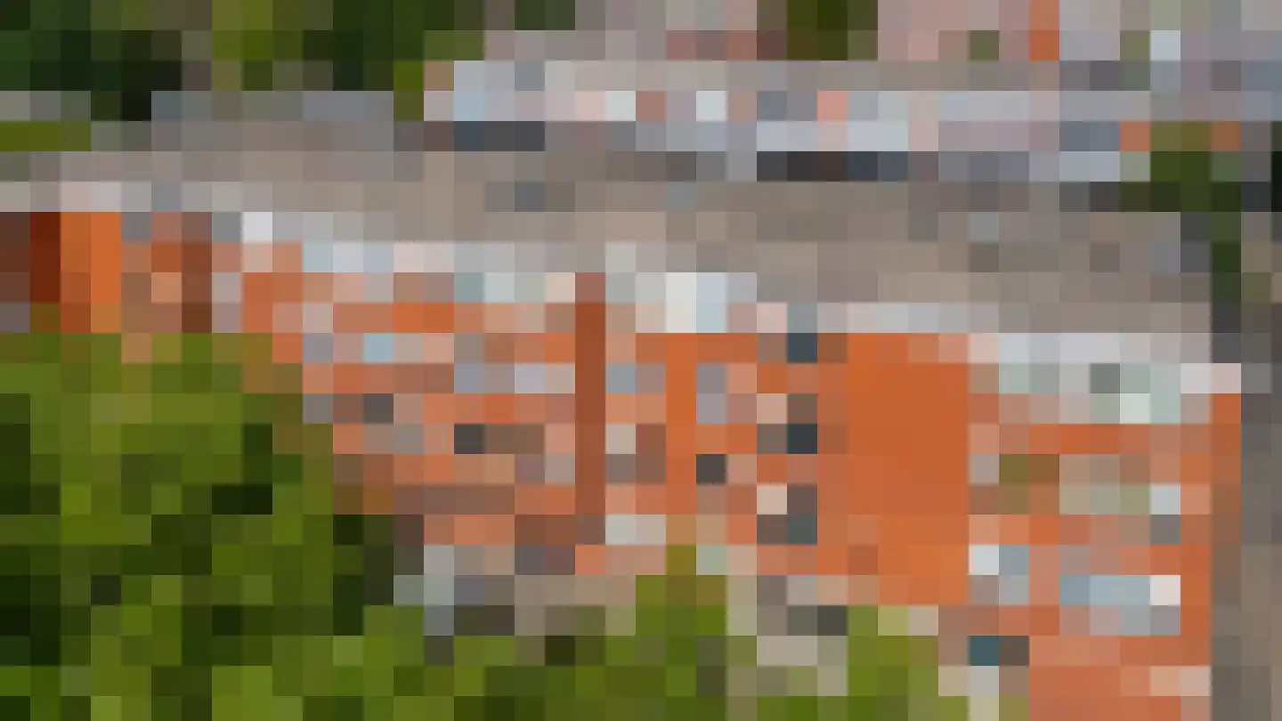Sint Janskruid 50 Diemen thumbnail 44