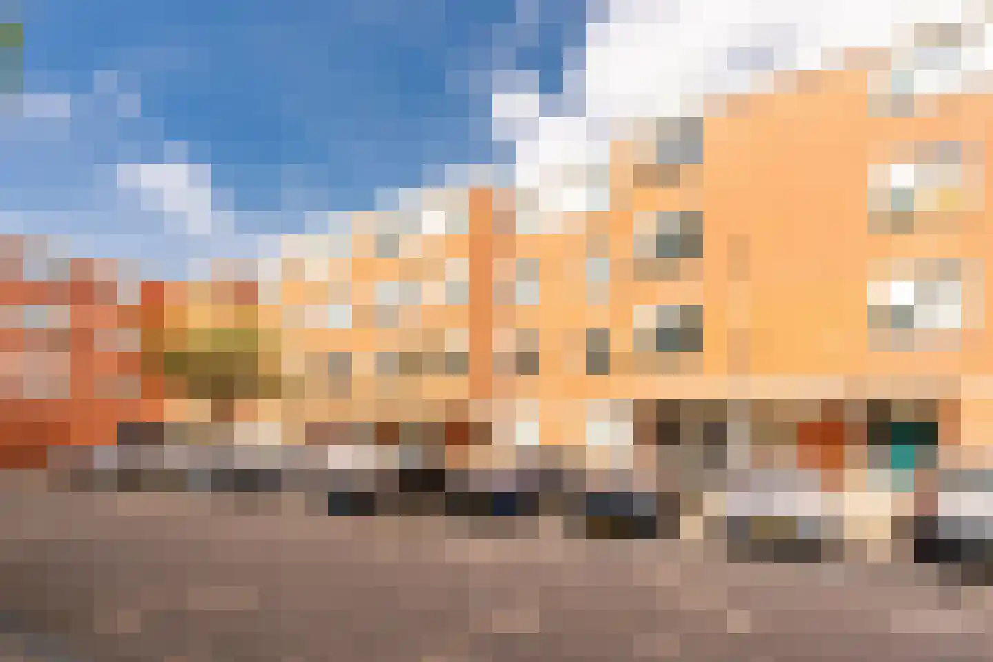 Sint Janskruid 50 Diemen thumbnail 6