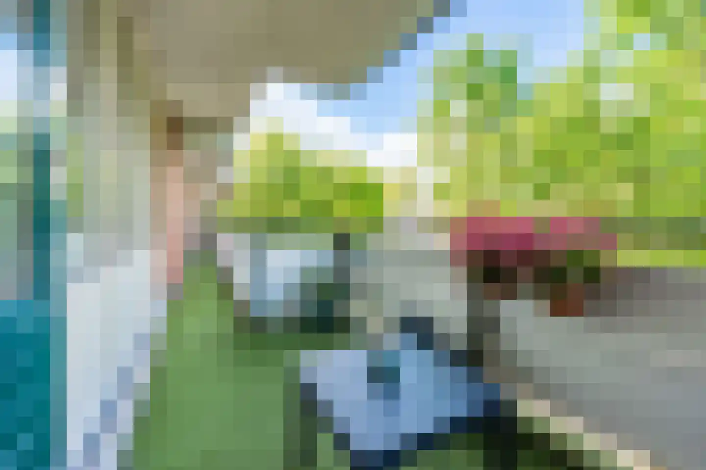 Sint Janskruid 76 Diemen thumbnail 18