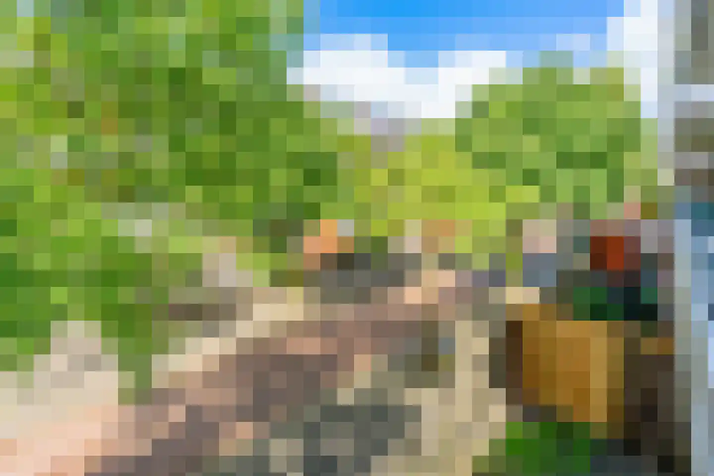 Sint Janskruid 76 Diemen thumbnail 20