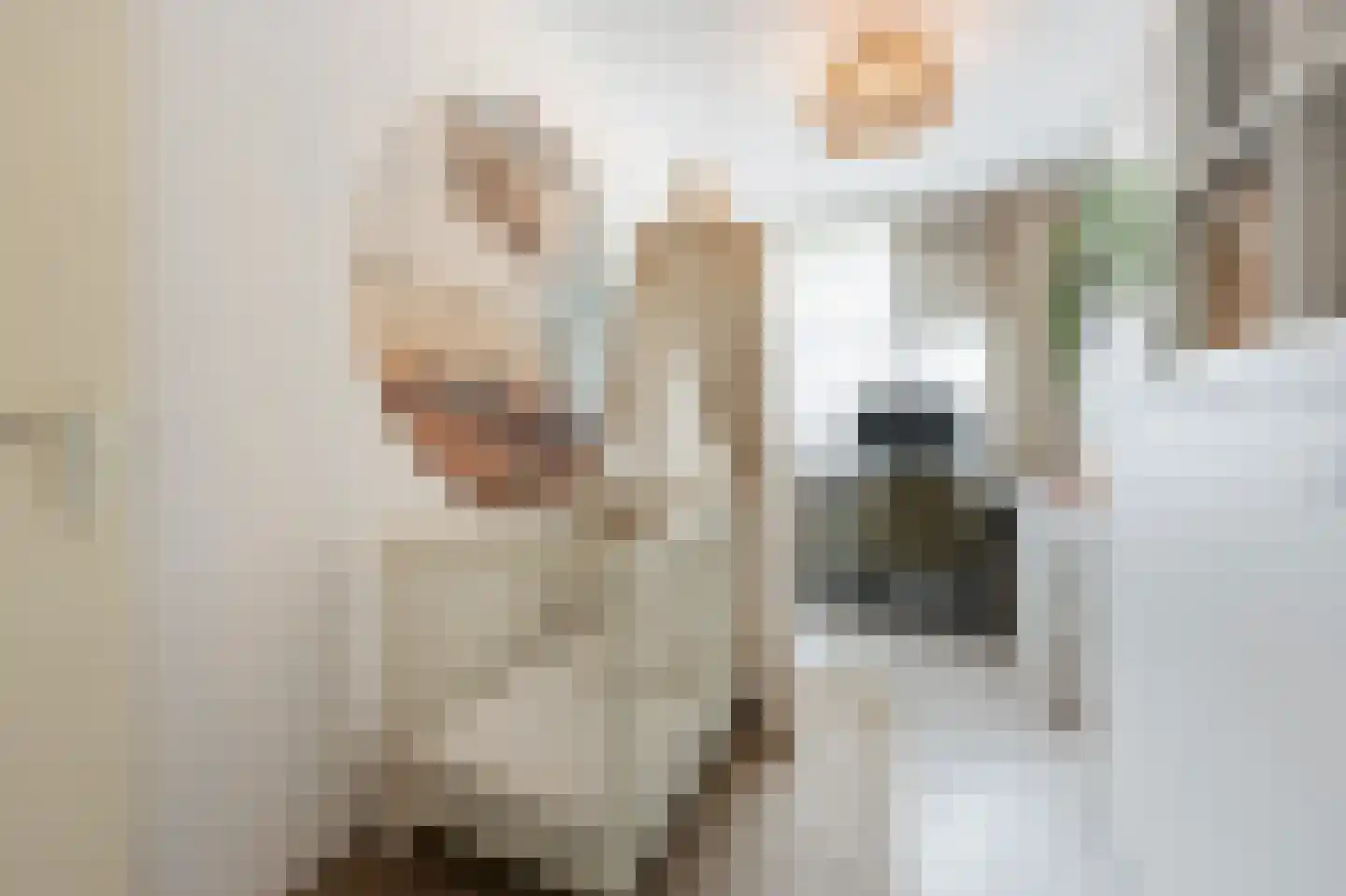 Sint Janskruid 76 Diemen thumbnail 22