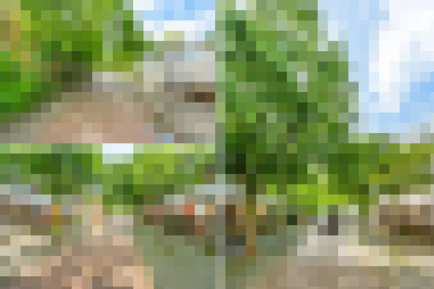 Sint Janskruid 76 Diemen thumbnail 38
