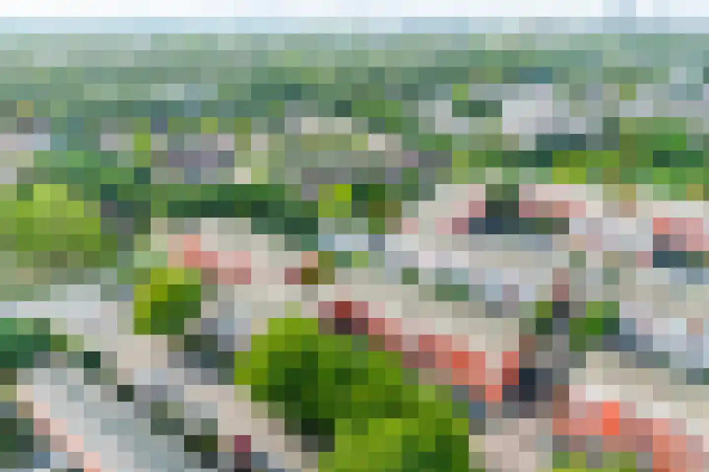 Sint Janskruid 76 Diemen thumbnail 45