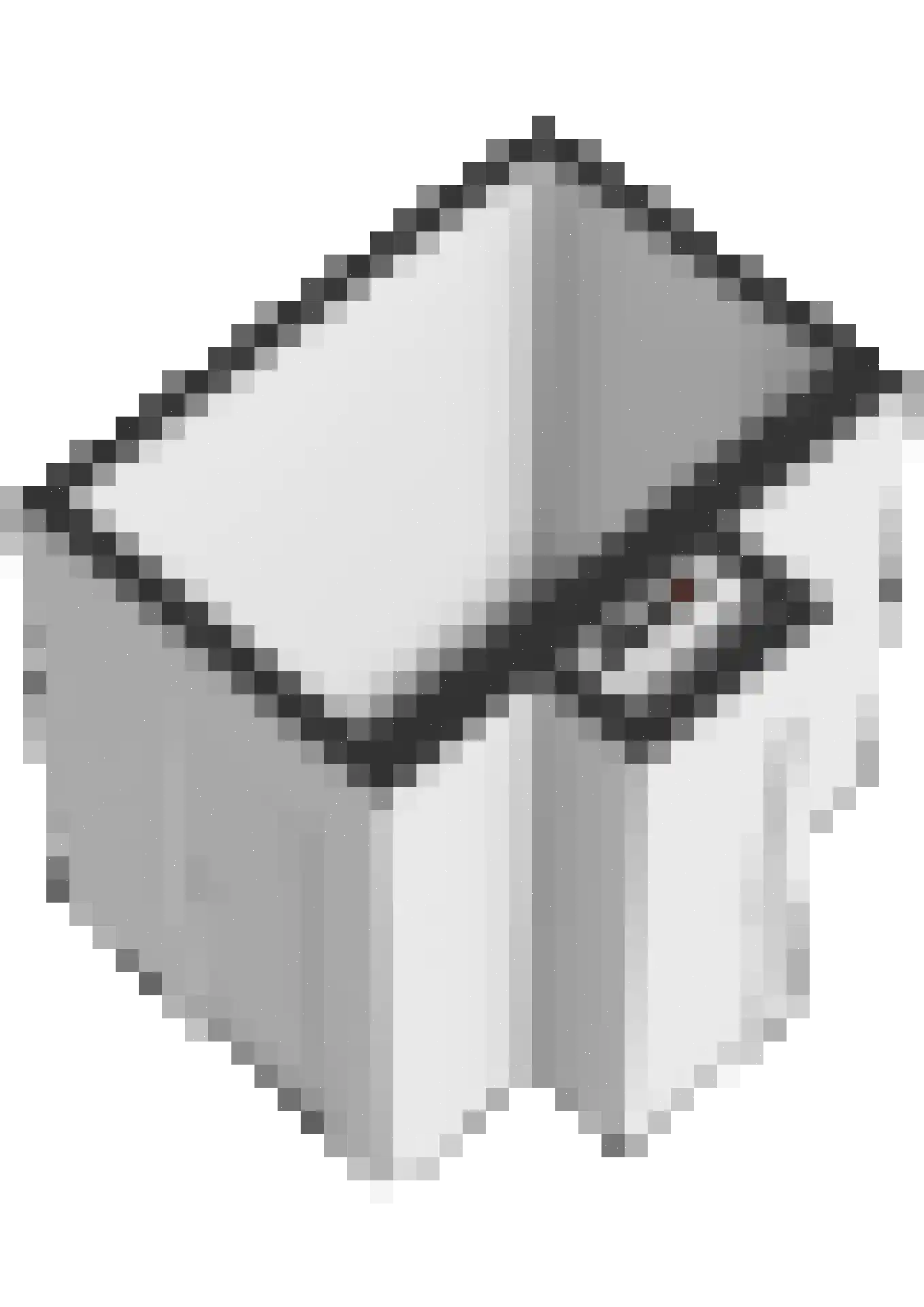 Sint Janskruid 76 Diemen thumbnail 53