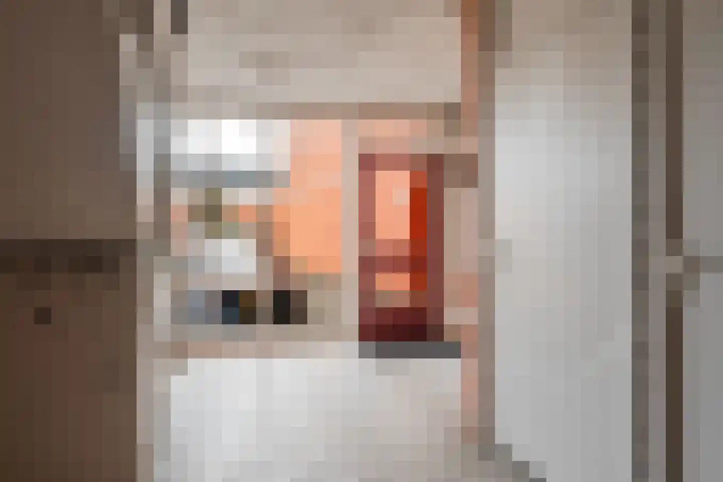 Sint Janskruid 78 Diemen thumbnail 47