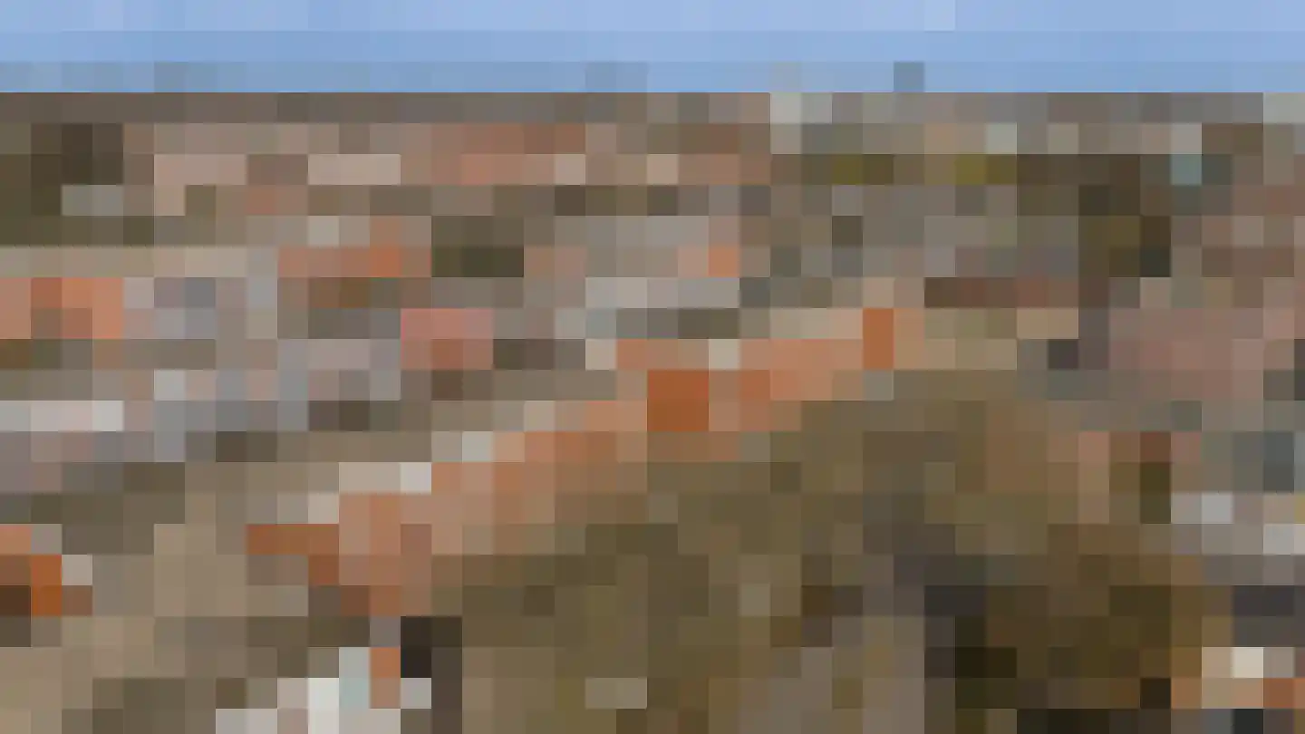 Sint Janskruid 78 Diemen thumbnail 56