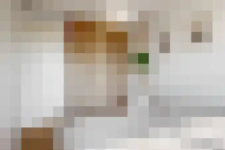 Sint Janskruidlaan 102 Amstelveen thumbnail 14