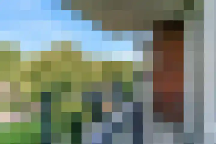 Sint Janskruidlaan 102 Amstelveen thumbnail 19
