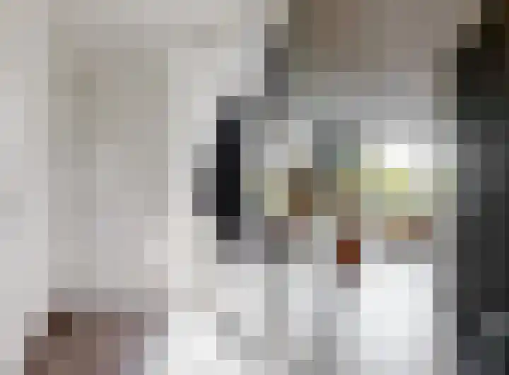 Sint Janskruidlaan 102 Amstelveen thumbnail 6