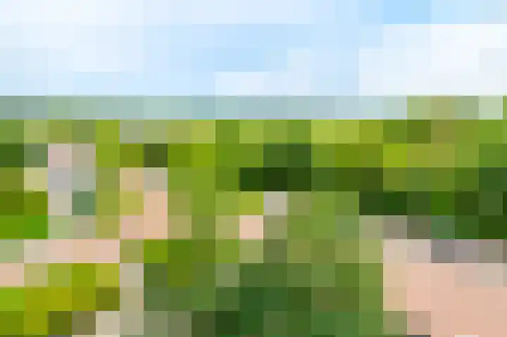 Sint Janskruidlaan 114 Amstelveen thumbnail 20
