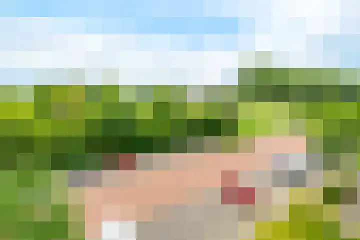 Sint Janskruidlaan 114 Amstelveen thumbnail 21