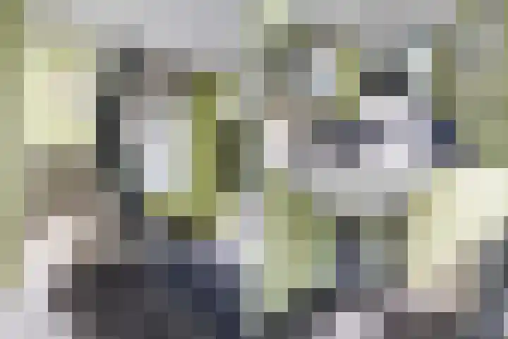 Sint Janskruidlaan 114 Amstelveen thumbnail 22
