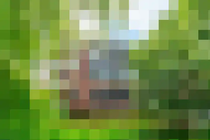 Sint Janskruidlaan 114 Amstelveen thumbnail 26