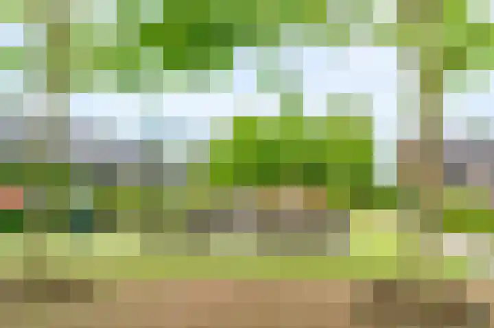 Sint Janskruidlaan 114 Amstelveen thumbnail 30