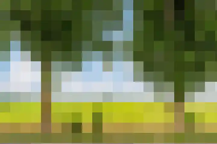 Sint Janskruidlaan 114 Amstelveen thumbnail 31