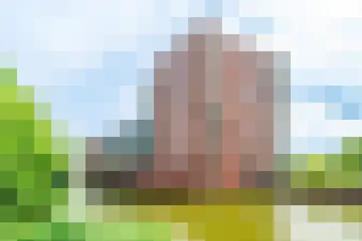 Sint Janskruidlaan 114 Amstelveen thumbnail 33